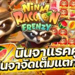 Ninja Raccoon Frenzy เป็นเกมสล็อตวิดีโอออนไลน์