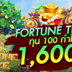 Prosperity Fortune Tree ต้นไม้โชคลาภสู่ความมั่งคั่งอันไม่มีที่สิ้นสุด