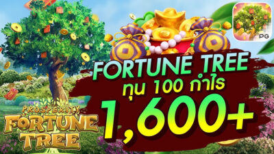 Prosperity Fortune Tree ต้นไม้โชคลาภสู่ความมั่งคั่งอันไม่มีที่สิ้นสุด