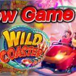 Wild Coaster ธีมแนวสวนสนุกรถไฟเหาะ เต็มไปด้วยนักท่องเที่ยว